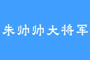 朱帅帅大将军
