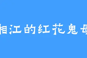 湘江的红花鬼母