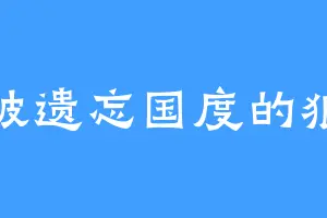 被遗忘国度的狼