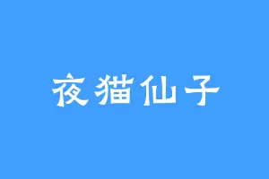 夜猫仙子