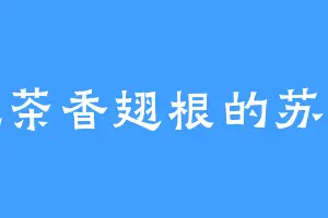 爱吃茶香翅根的苏恋雅