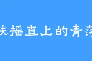 扶摇直上的青萍