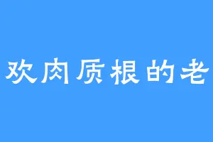 喜欢肉质根的老鲨