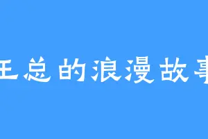 王总的浪漫故事