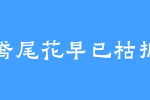 鸢尾花早已枯折