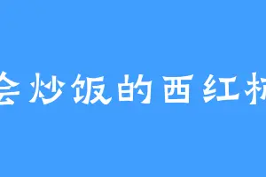 会炒饭的西红柿