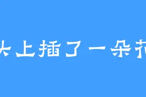 头上插了一朵花
