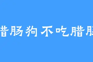腊肠狗不吃腊肠