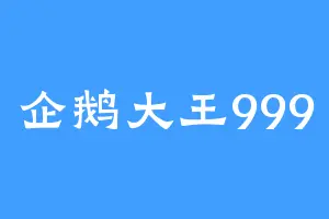 企鹅大王999