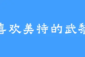 喜欢美特的武黎