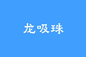 龙吸珠
