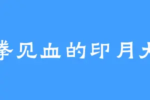 拳拳见血的印月大师