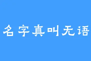 名字真叫无语