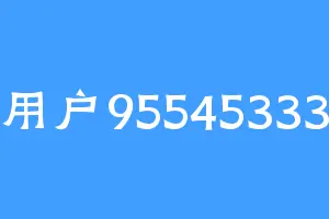 用户95545333