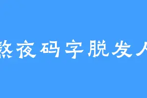 熬夜码字脱发人