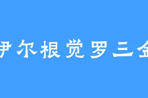 伊尔根觉罗三金