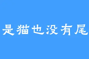 不是猫也没有尾巴