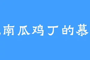 爱吃南瓜鸡丁的慕公子