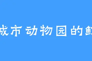 城市动物园的鲸