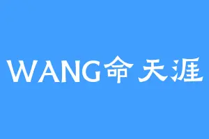 WANG命天涯