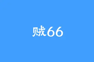 贼66
