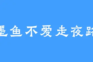 墨鱼不爱走夜路