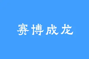 赛博成龙