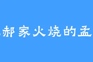 爱吃郝家火烧的孟大人