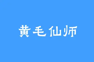 黄毛仙师