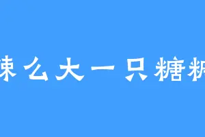 辣么大一只糖糖