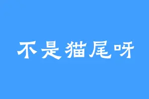 不是猫尾呀