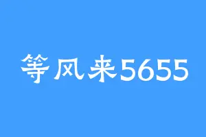 等风来5655