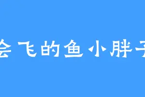 会飞的鱼小胖子