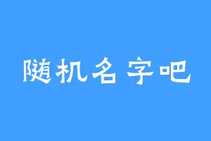 随机名字吧
