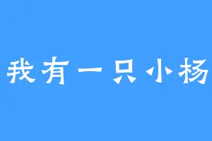 我有一只小杨