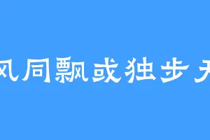 与风同飘或独步天下