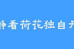 静看荷花独自开