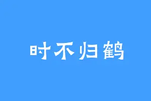 时不归鹤