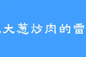 爱吃大葱炒肉的雷震山