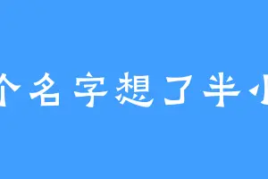 这个名字想了半小时