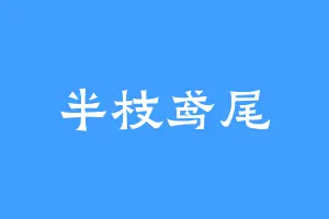 半枝鸢尾