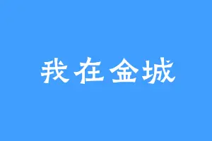 我在金城