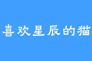 喜欢星辰的猫