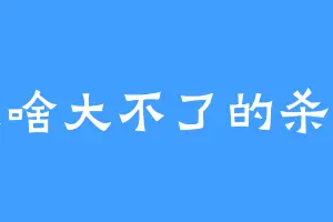 没啥大不了的杀手