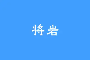 将岩