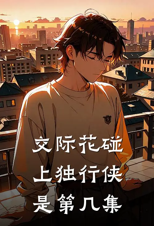 交际花碰上独行侠是第几集