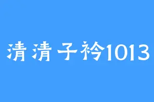 清清子衿1013