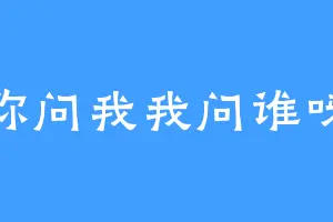 你问我我问谁呀