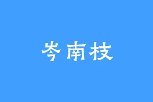 岑南枝