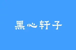 黑心轩子
